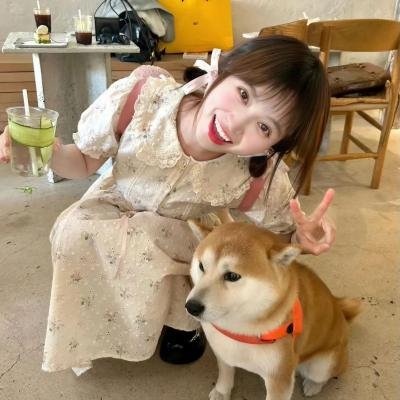 罗宫春色